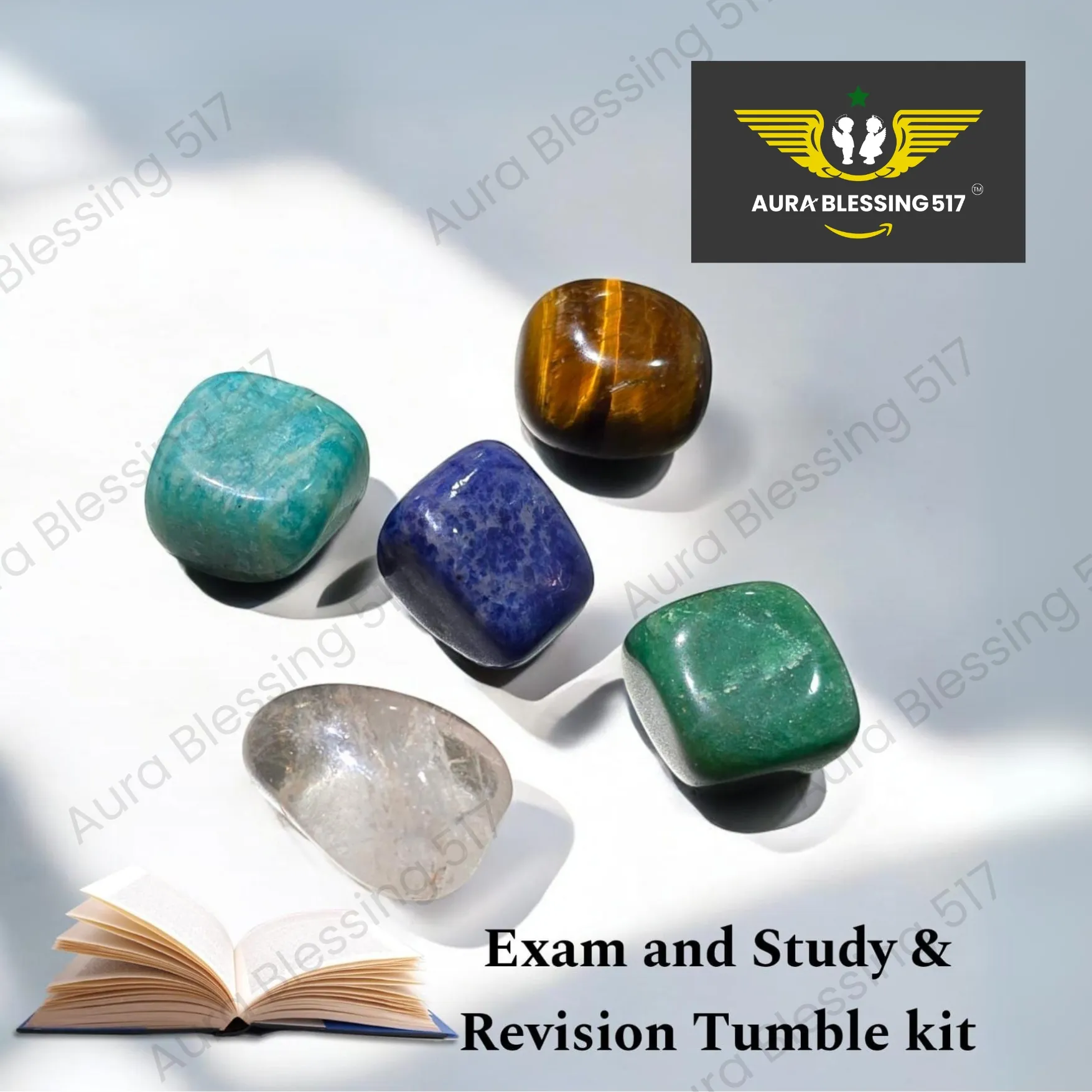 Exam, Study & Revision Tumble Kit